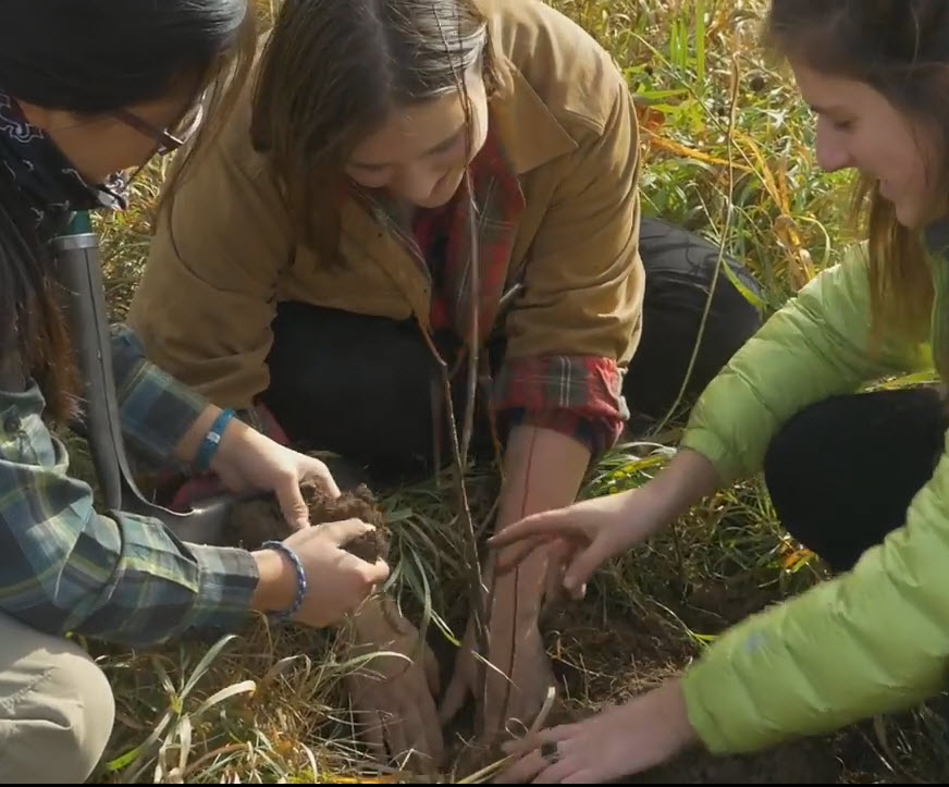volunteers_planting