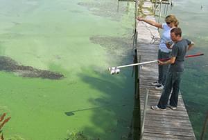 Water sampling during cyanobacteria bloom