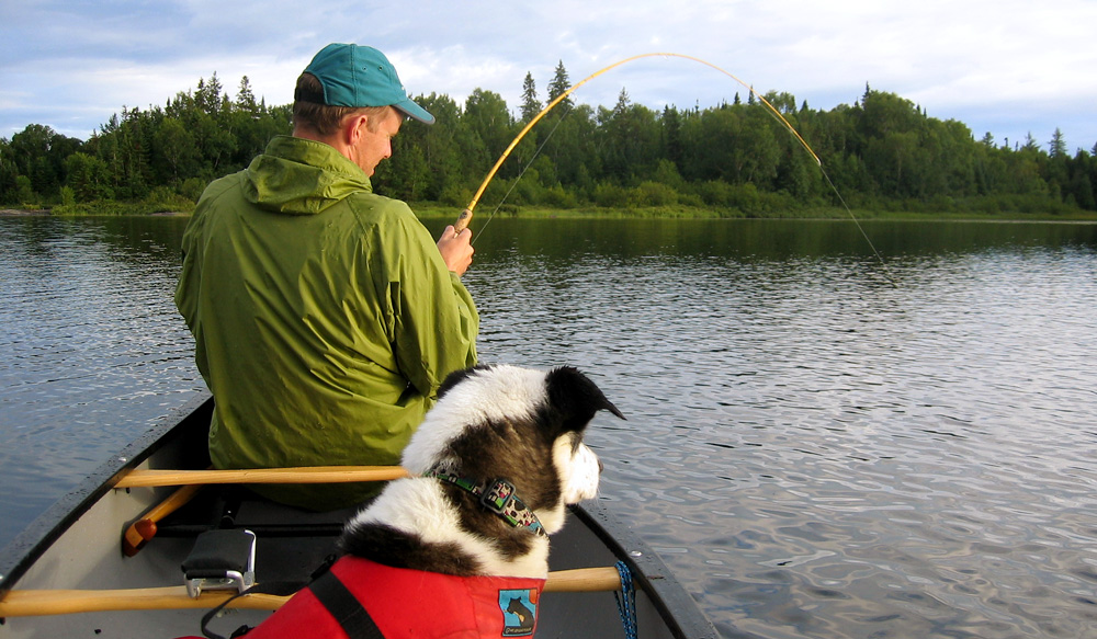 Angler and dog fishing from canoe