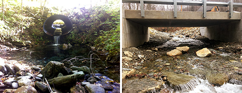 before and after perched culvert replacement