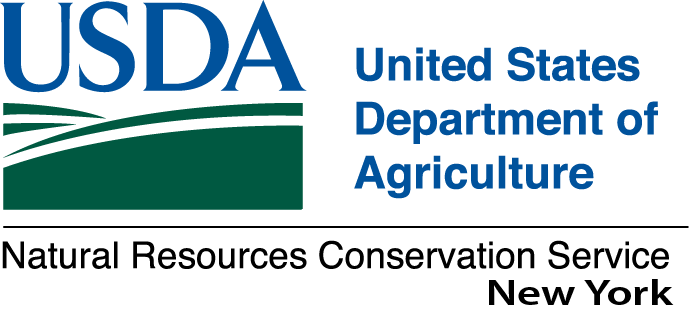 USDA NRCS New York logo
