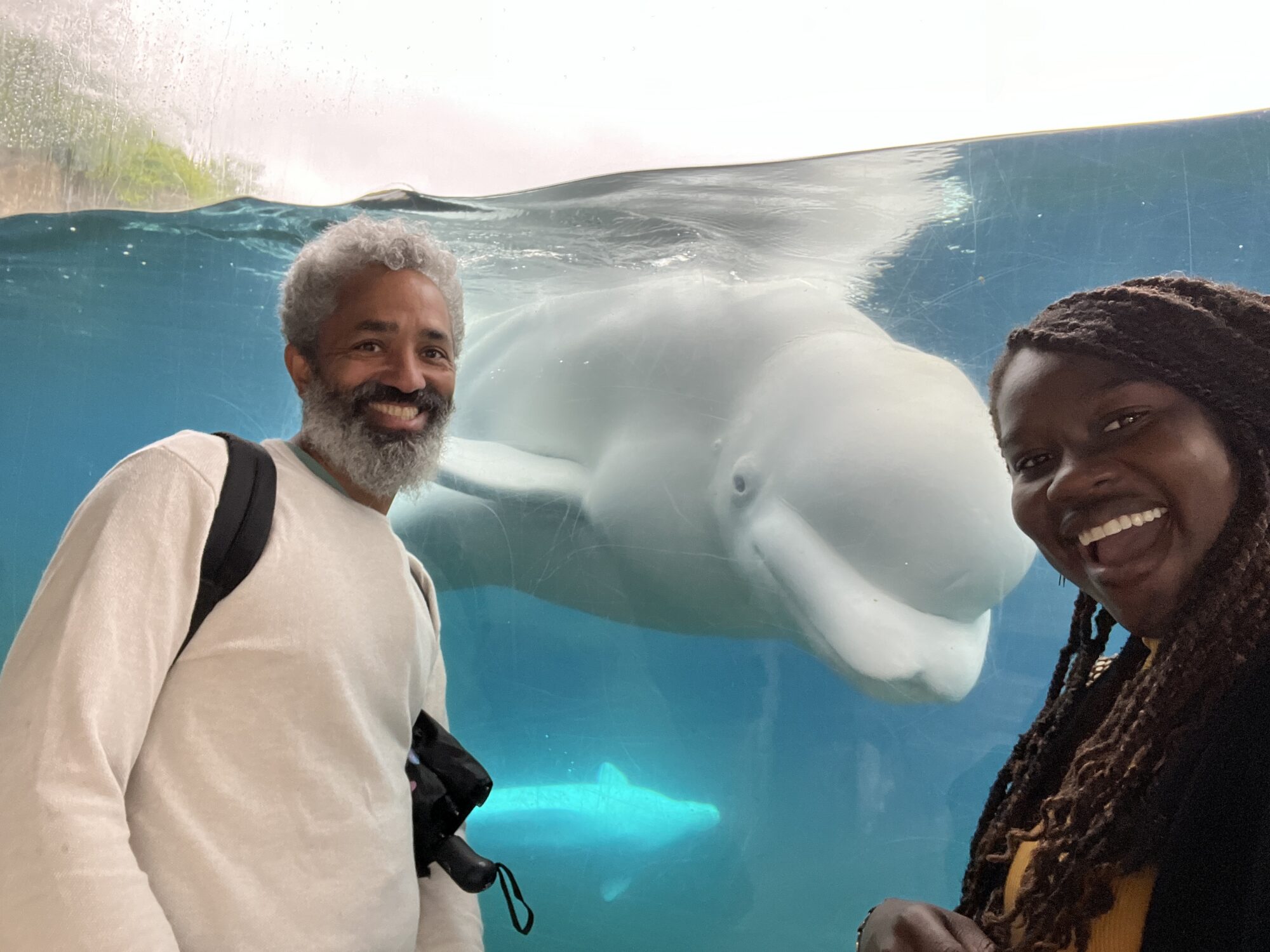 two people taking a selfie with a beluga whale in an aquarium tank in the background