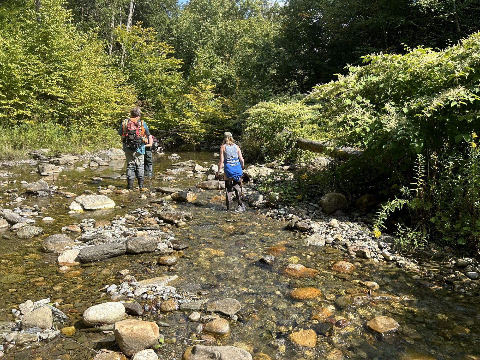 two researchers walk a shallow stream bed with vegetated banks